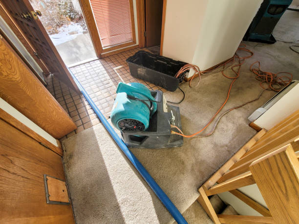 Best 24-hour water damage restoration  in Maggie Valley, NC