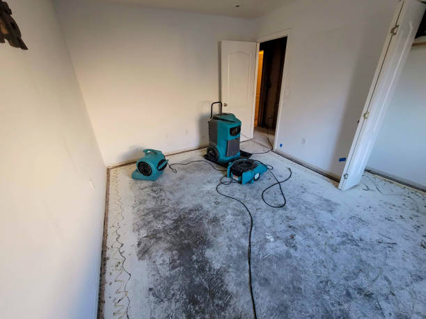 Best 24/7 water damage repair  in Maggie Valley, NC