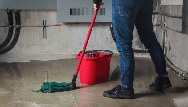 Best Water damage cleanup near me  in Maggie Valley, NC