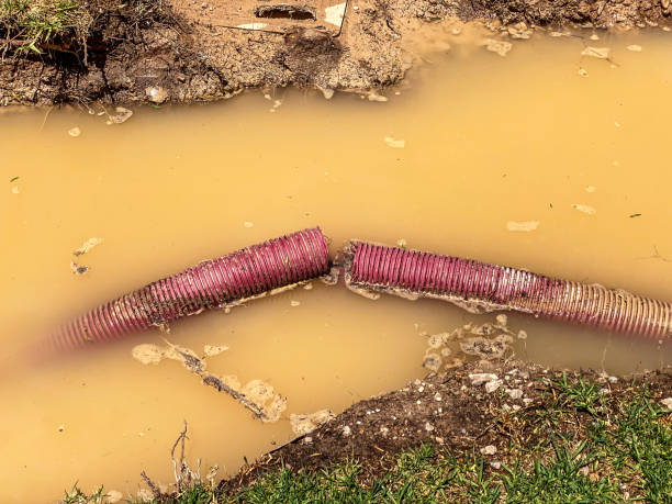 Best Basement water damage restoration  in Maggie Valley, NC